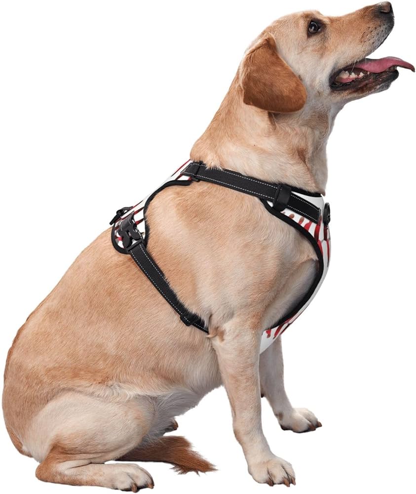 ZENITH ZONE™  -  PERSONALIZED NO PULL DOG HARNESS