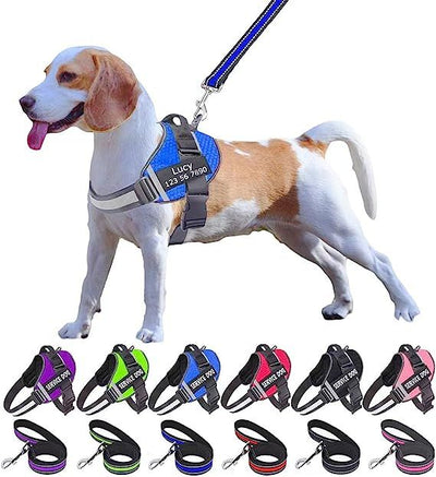 ZENITH ZONE™  -  PERSONALIZED NO PULL DOG HARNESS