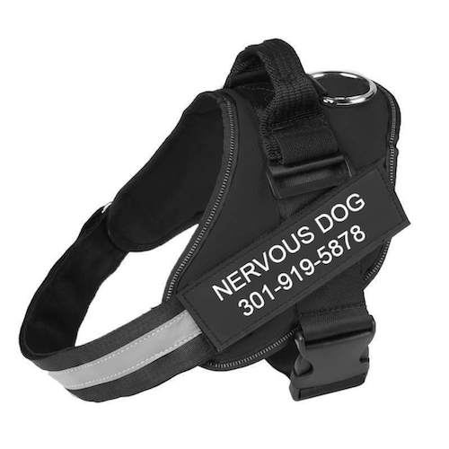 ZENITH ZONE™  -  PERSONALIZED NO PULL DOG HARNESS