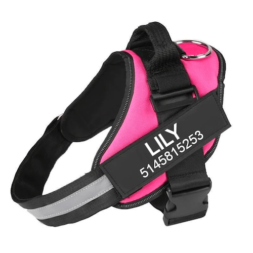 ZENITH ZONE™  -  PERSONALIZED NO PULL DOG HARNESS