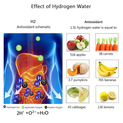 ZENITH ZONE™  - HYDROGEN BOTTLE